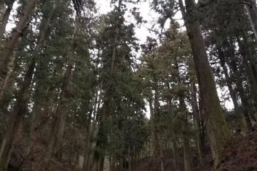Heading for The Present (Saito) 