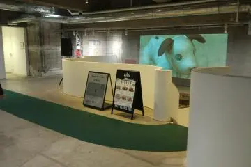 Lots of displays