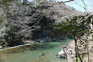 Hidden Gems in Western Tokyo