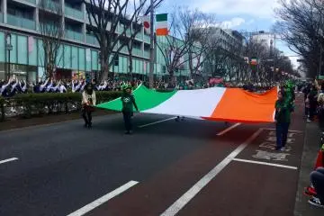 The Irish flag.
