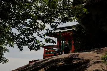 Finally, the shrine shows up in between the trees