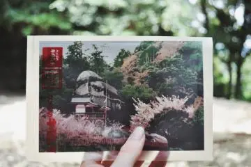 On my way back down a kind local man gave me this picture of the shrine in spring season