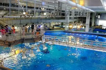 Behind the scenes of the Kuroshio Sea