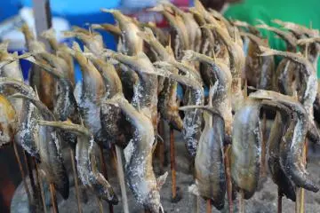 Would you like to try shioyaki? It's salted grilled sea bream.