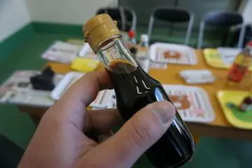 Fabrica tu propia salsa de soja