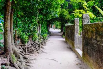Jalan-jalan di Desa Bise adalah lokasi yang sempurna untuk berjalan-jalan dan menikmati suasana desa yang tenang