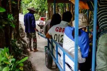 Seorang lelaki setempat memandu turis berkeliling desa dengan kereta yang ditarik kerbau
