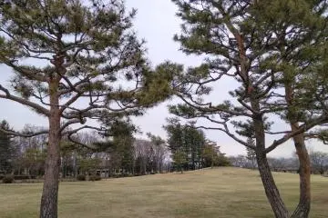 Part of the park