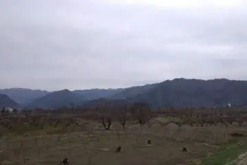 Fertile farmland 
