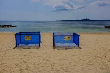 <p>Tetap berhati-hati akan sarang penyu saat sedang melihat pantai</p>