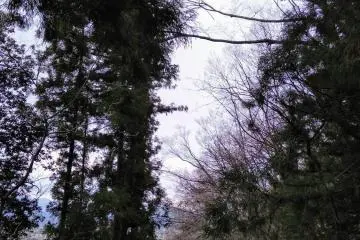 Mountain road trail 