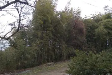 Mountain trail  