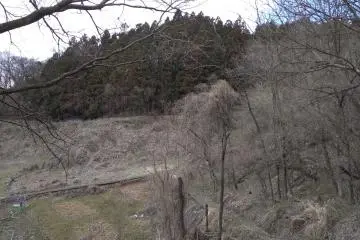 Wild farm trail  