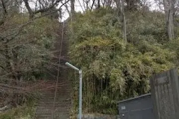 A steep climb called serendipity