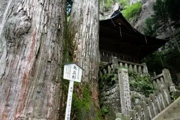 The shrine buildings nestle into the rocks and trees