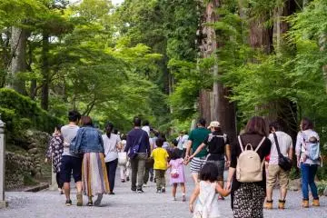 The initial path to the temple is covered in gravel and lined on one side by massive trees