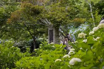 A carved plaque sits surrounded by hydrangea