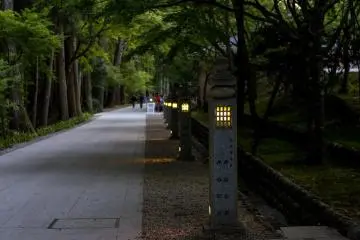 The lights along the pathway light up as night begins to fall