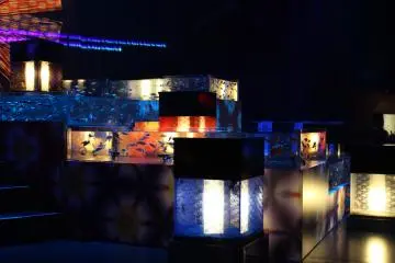 ELEGANCE DANCE: admire goldfish glimmering beneath the everchanging lights in a colleciton of uncovered aquariums.