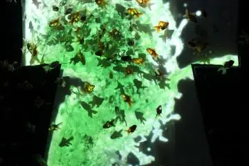 KIMONORIUM: gold and silver goldfish swim inside a color-changing kimono-shaped aquarium.