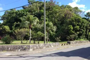 <p>At first the park just looks like an undeveloped hill amongst a neighbood of single family homes and small apartment buildings</p>