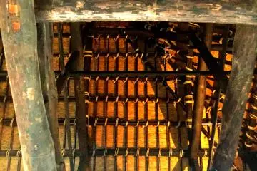 The intricately constructed rafters