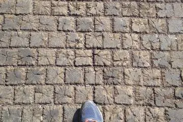 A street paved with chestnut wood
