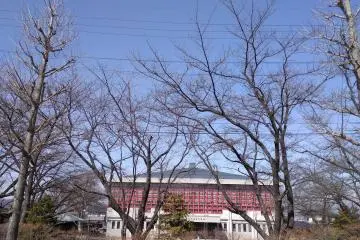 Out of chestnut town