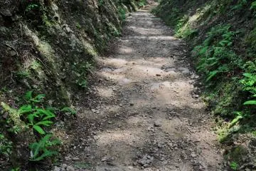 The path gets a little wild at times but overall it is easy to walk on