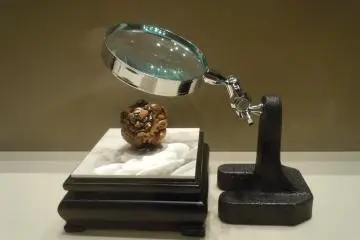 A magnifying glass was set to fully appreciate an elaborate netsuke