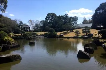 Kolam yang dipenuhi dengan ikan koi di Nihon Teien