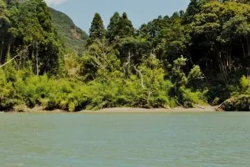 At times, the area near the river resembles a tropical island