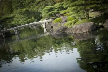 Reflection