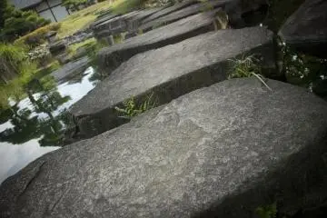 Stone Steps Closeup