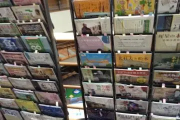 Gallery image