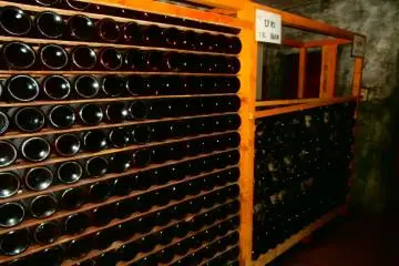 <p>Numerous wine bottles stored in the naturally-cold cellar</p>