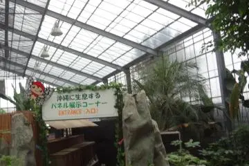 Gallery image