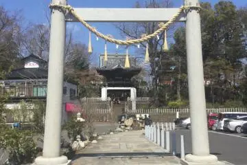 The modern gate in front of the old tower gate