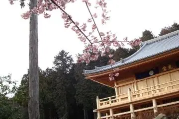 The Main Hall