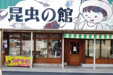 Bungo Takada Showa Street