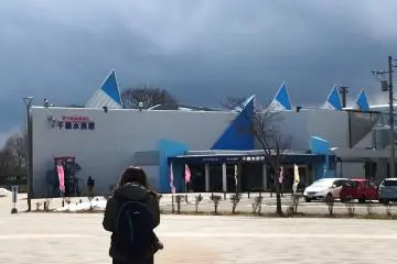 Even on a bad day, the aquarium has a certain appeal