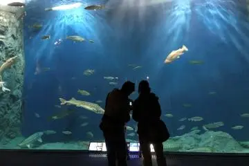 Come face to face with fish from the North Pacific