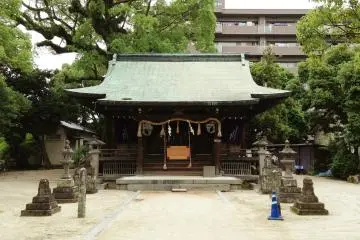 Gallery image