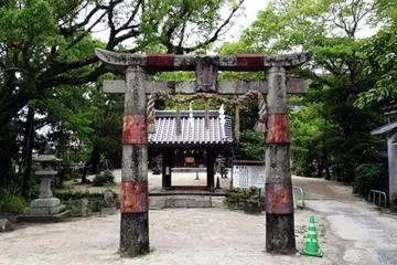 Gallery image