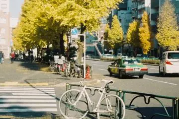 And life in Tokyo, and in Japan in general, pushed me outside of my B&W comfort zone just like that: the colors of gingko, the colors of the light, of autumn, of the lottery stand by the road, the colors over overlooked details in daily life. Along with this blast of vibrant colors that seemed to be alive themselves, I felt like I could smell and taste the seasonal changes in the air.