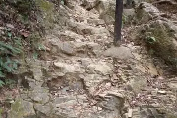 A light and pleasant walk, indeed