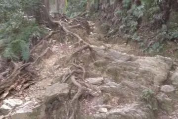 Not too good, either