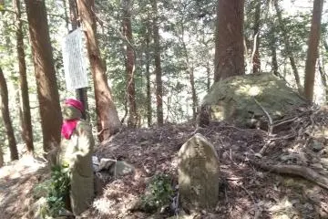 Not alone on Mt Asama
