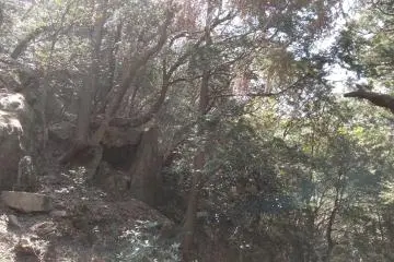 Cave along the way