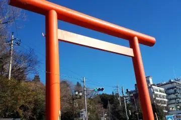 The torii gate to the mountain 